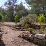 Das Grundstück ist die Grundlage für ein neues Haus Mallorca.